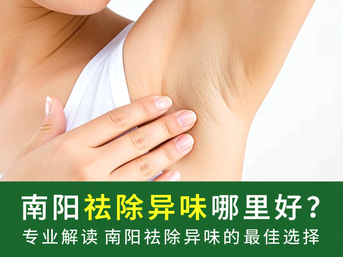 南阳祛除异味哪里好？专业解读南阳祛除异味的最佳选择